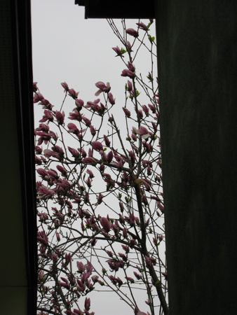 f:id:elmikamino:20080424082500j:image