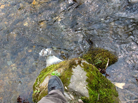 f:id:elmikamino:20080426172425j:image