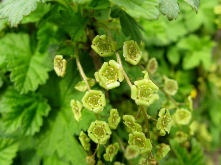 f:id:elmikamino:20080501203238j:image f:id:elmikamino:20080501203238j:image