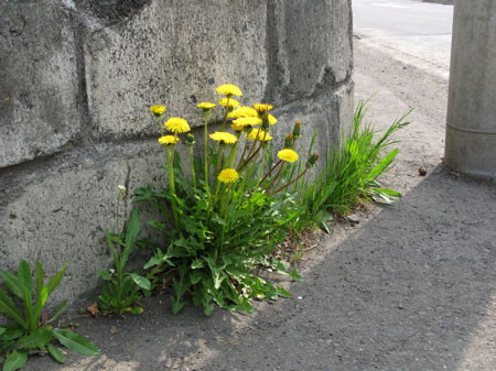 f:id:elmikamino:20080503103411j:image f:id:elmikamino:20080503103411j:image