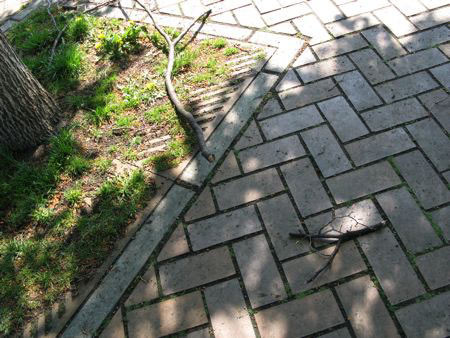 f:id:elmikamino:20080516085846j:image f:id:elmikamino:20080516085846j:image