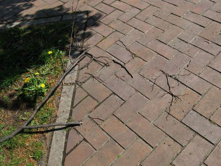 f:id:elmikamino:20080516085905j:image f:id:elmikamino:20080516085905j:image