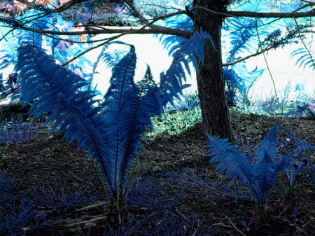 f:id:elmikamino:20080518200520j:image