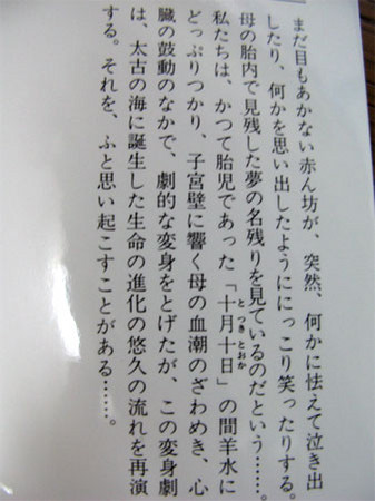 f:id:elmikamino:20080521213126j:image