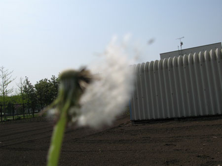 f:id:elmikamino:20080524124358j:image