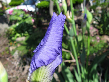 f:id:elmikamino:20080528165133j:image