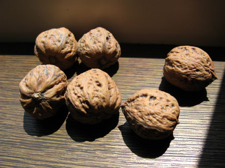 f:id:elmikamino:20080608123147j:image