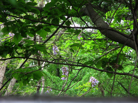 f:id:elmikamino:20080608123149j:image