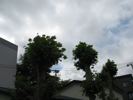 f:id:elmikamino:20080617210916j:image