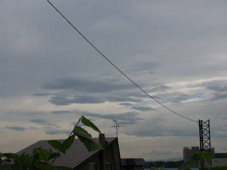 f:id:elmikamino:20080624222246j:image f:id:elmikamino:20080624222246j:image