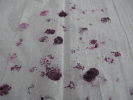 f:id:elmikamino:20080628110956j:image