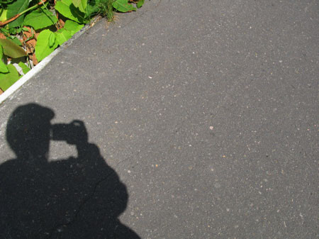 f:id:elmikamino:20080701223145j:image