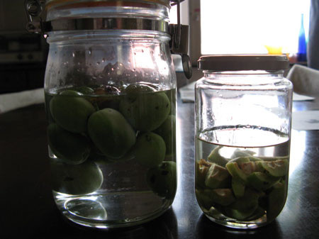 f:id:elmikamino:20080705161054j:image