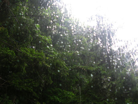 f:id:elmikamino:20080718215831j:image