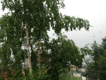 f:id:elmikamino:20080718215832j:image