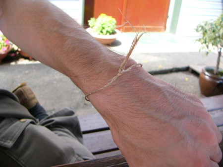 f:id:elmikamino:20080729134502j:image