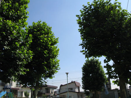 f:id:elmikamino:20080807202603j:image