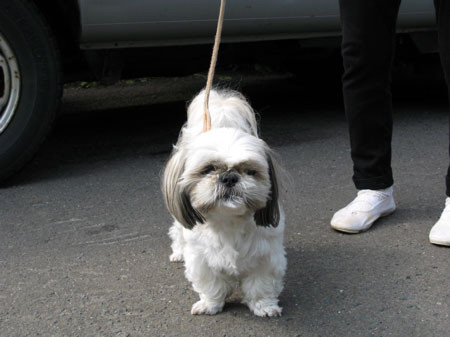 f:id:elmikamino:20080820102505j:image