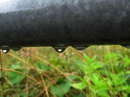 f:id:elmikamino:20080820102506j:image