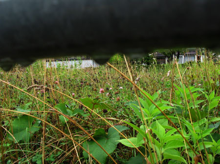 f:id:elmikamino:20080820104105j:image
