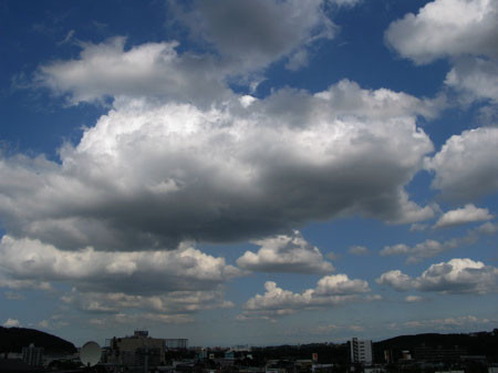 f:id:elmikamino:20080821205828j:image