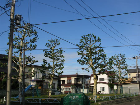 f:id:elmikamino:20080826174529j:image
