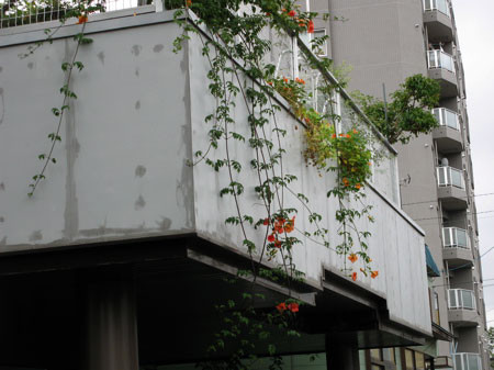 f:id:elmikamino:20080830200945j:image