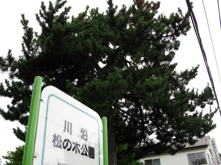f:id:elmikamino:20080830200947j:image