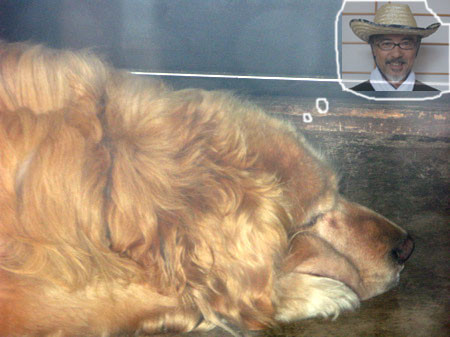 f:id:elmikamino:20080901234936j:image