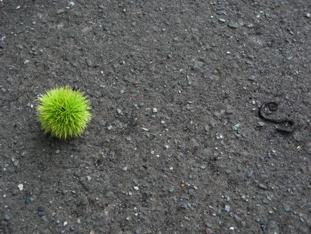 f:id:elmikamino:20080903113522j:image