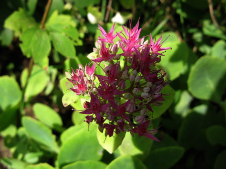 f:id:elmikamino:20080913112320j:image