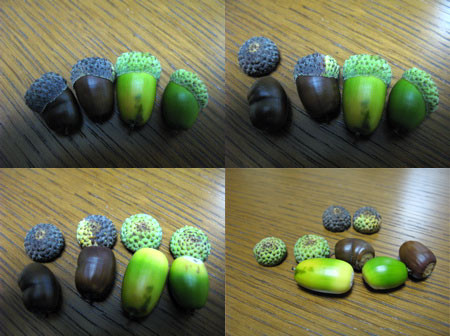 f:id:elmikamino:20080914015052j:image f:id:elmikamino:20080914015052j:image