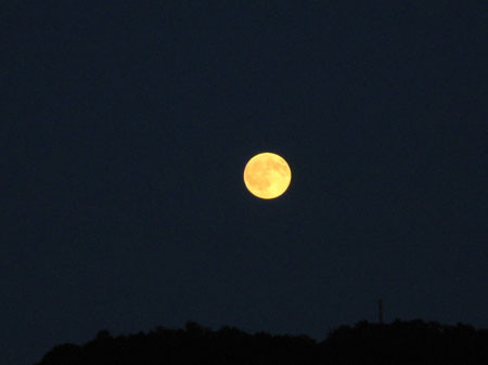 f:id:elmikamino:20080916101536j:image