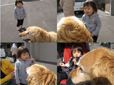 f:id:elmikamino:20080928121447j:image