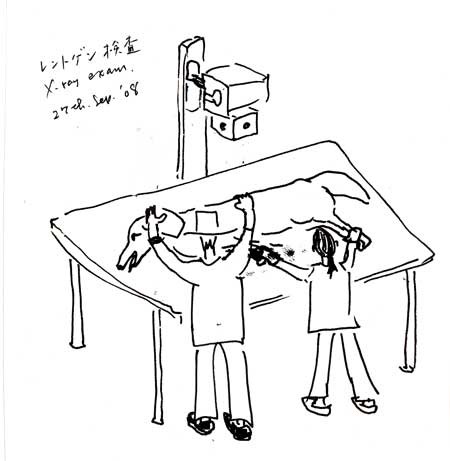f:id:elmikamino:20080928161911j:image