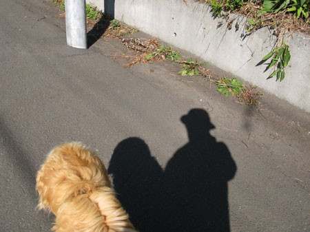 f:id:elmikamino:20080929102450j:image