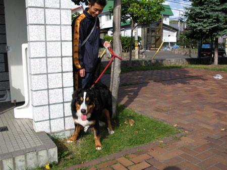 f:id:elmikamino:20081002182940j:image