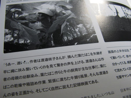 f:id:elmikamino:20081010215110j:image