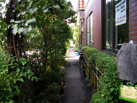 f:id:elmikamino:20081012020243j:image