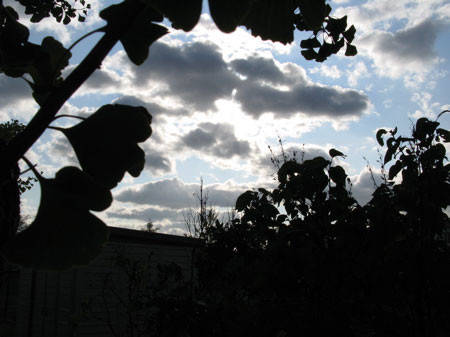 f:id:elmikamino:20081012230439j:image