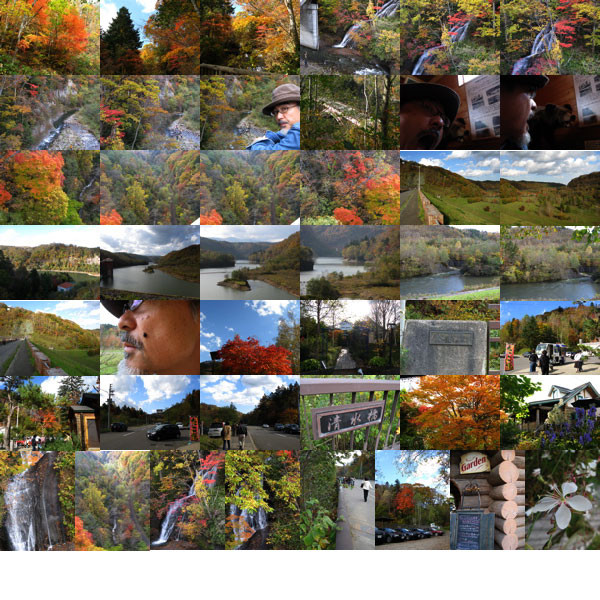f:id:elmikamino:20081013205425j:image