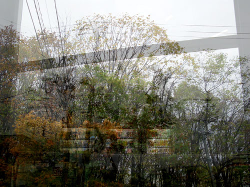 f:id:elmikamino:20081025003550j:image