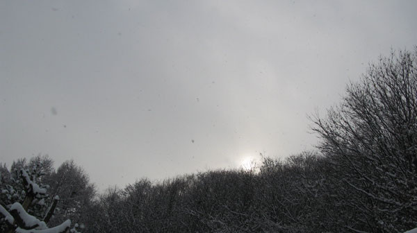 f:id:elmikamino:20081207182952j:image