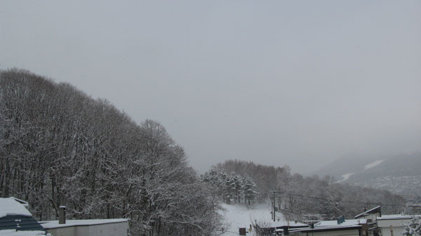 f:id:elmikamino:20081207182953j:image