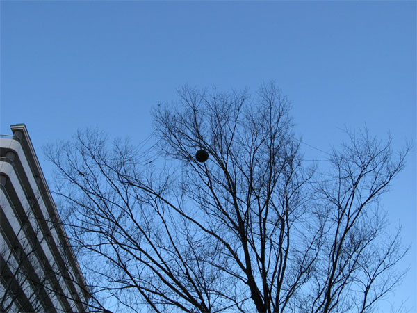 f:id:elmikamino:20081217135930j:image