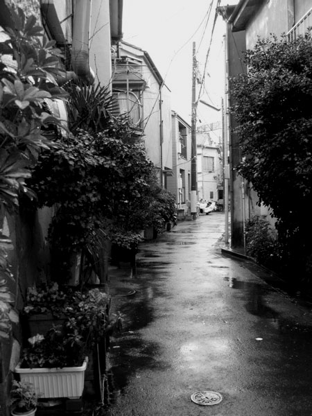 f:id:elmikamino:20081217210432j:image