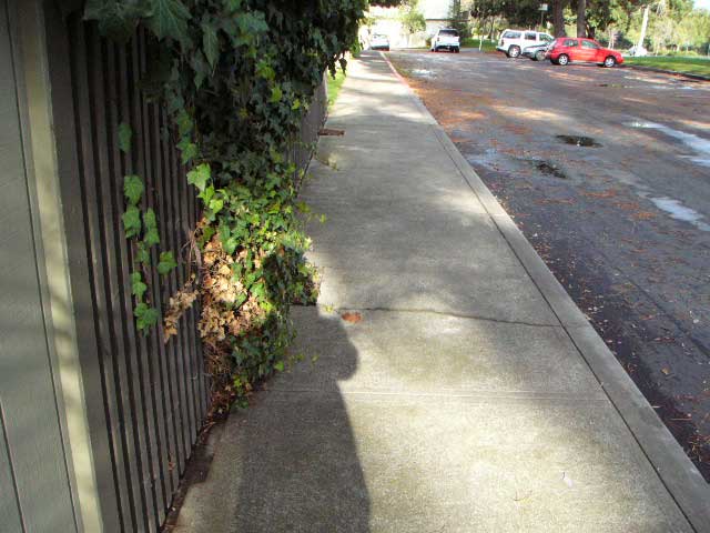 f:id:elmikamino:20081224125211j:image:w450