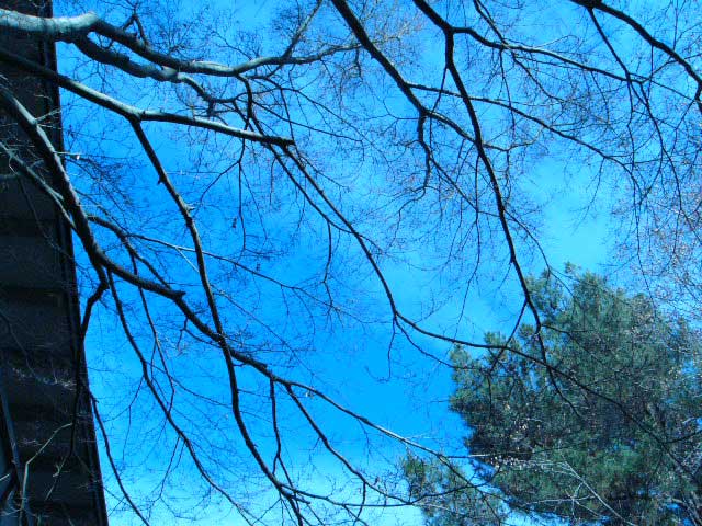 f:id:elmikamino:20081224125212j:image:w450