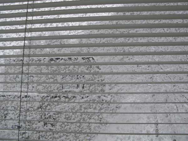 f:id:elmikamino:20081226110736j:image:w450