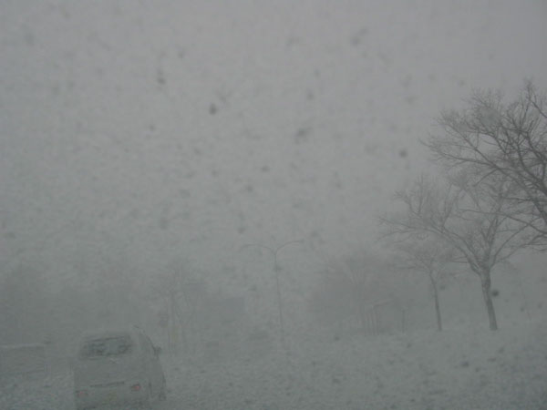 f:id:elmikamino:20081226112547j:image:w450